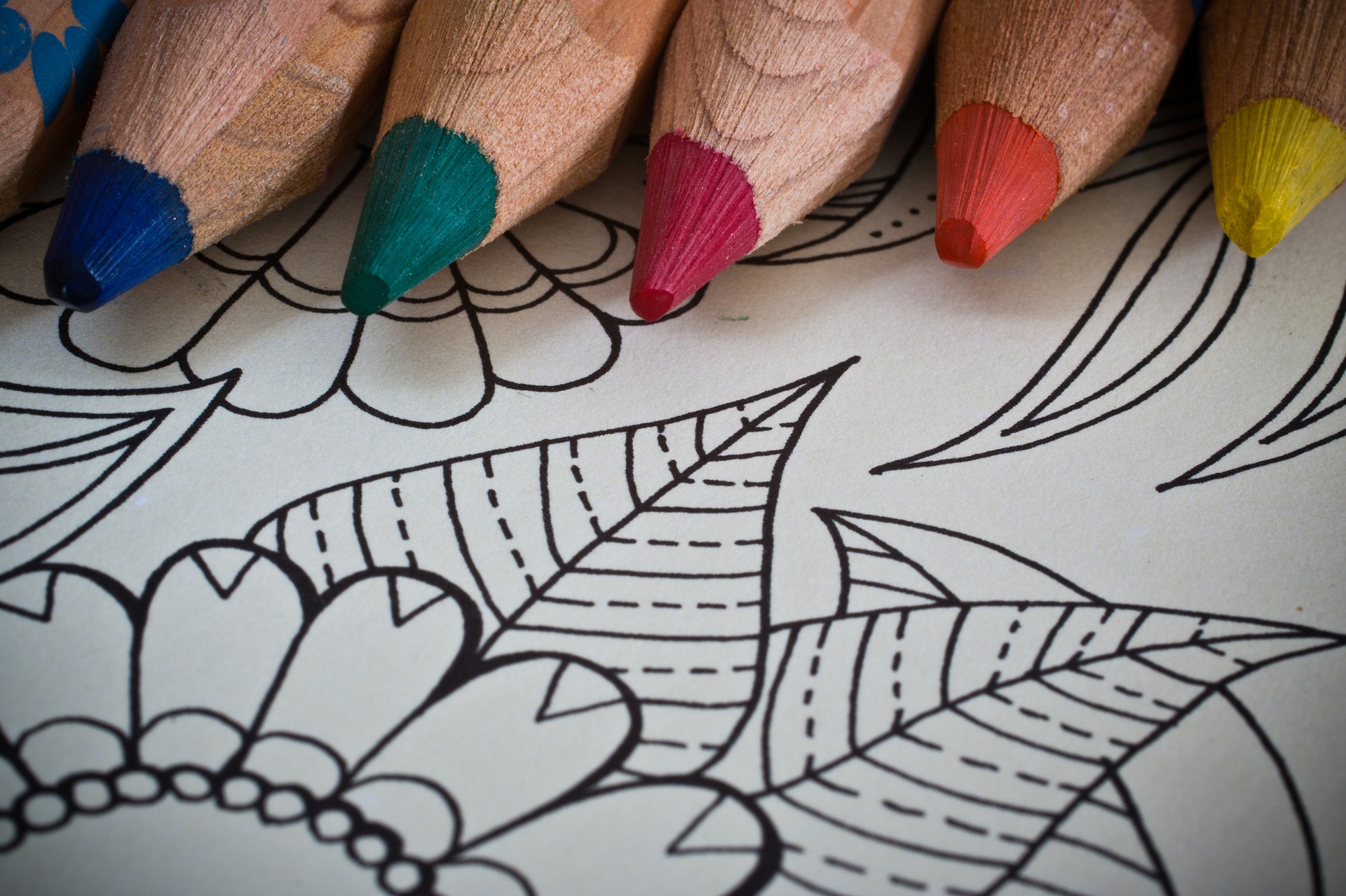 A Different Perpsective Coloring Book for Adults