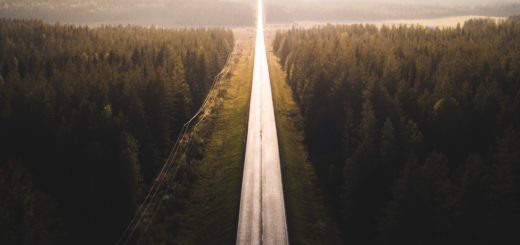 Tie joka kulkee halki metsän.